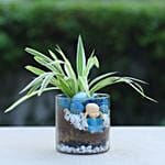 Buddha Blessings Plant N Cake Combo