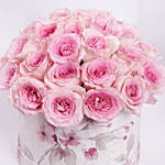 Pink Roses Splendour Box