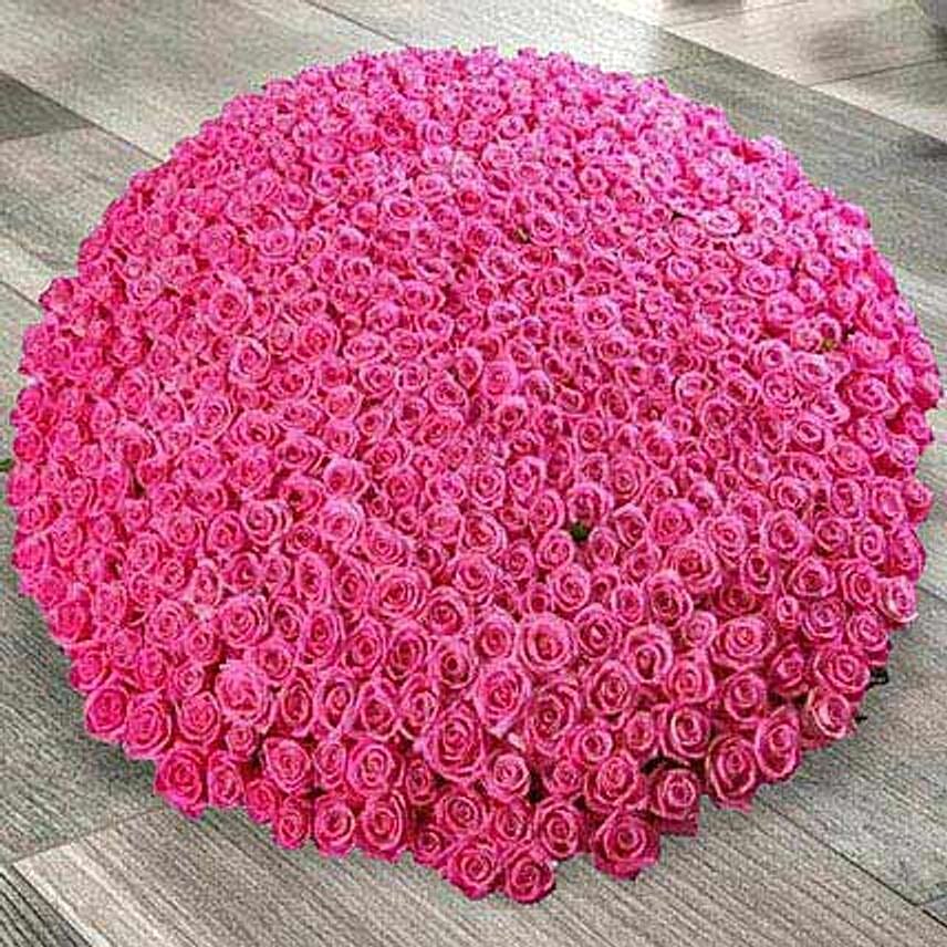 500 Dark Pink Roses Arrangement: Pink Flower Bouquets