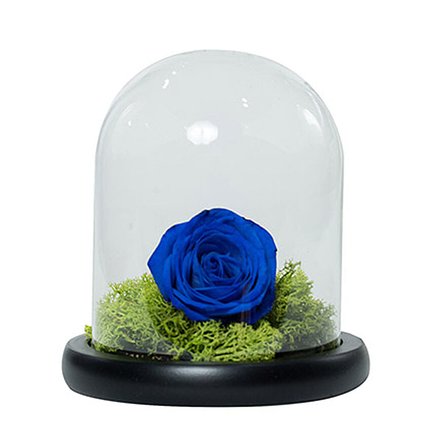Elegant Blue Rose: Flowers for Him