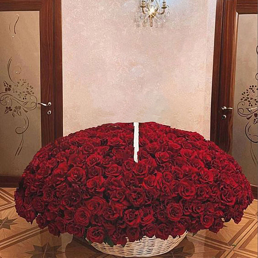 800 Red Roses Basket Arrangement: Romantic Flowers 