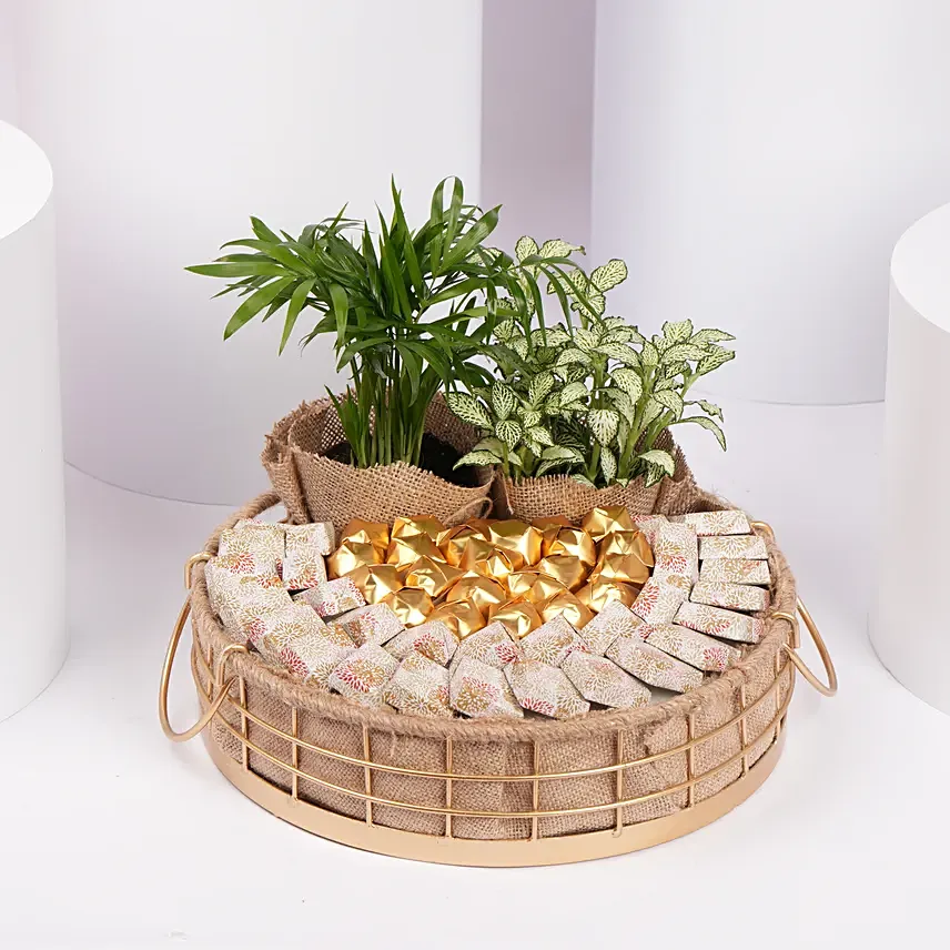 A Gift of Growth and Gratitude: Plants