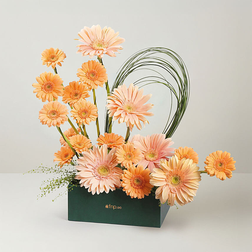 Souk Sunset Dubai Flowers: Gerberas Flower Bouquets