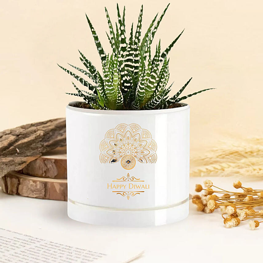 Haworthia Plant In Happy Diwali: Personalised Planters
