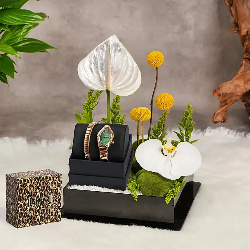 Just Cavalli Signature Snake Design Luxury Watch Gift Tray For Her: 