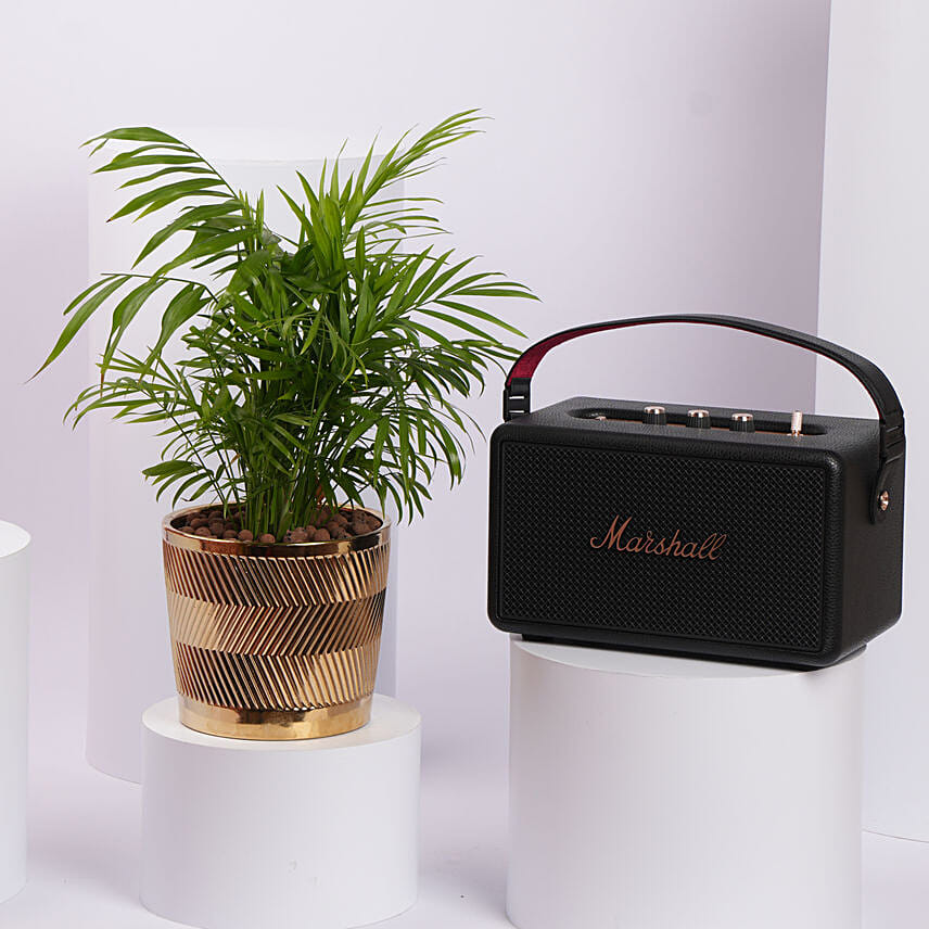 Marshall Speaker with HousePlant Gift Set: Electronics Accessories