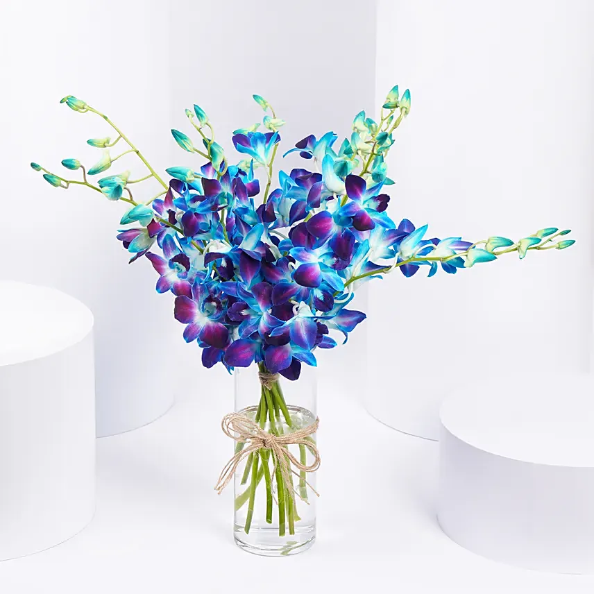 Mesmerizing Blue Orchids: Gifts for Brother