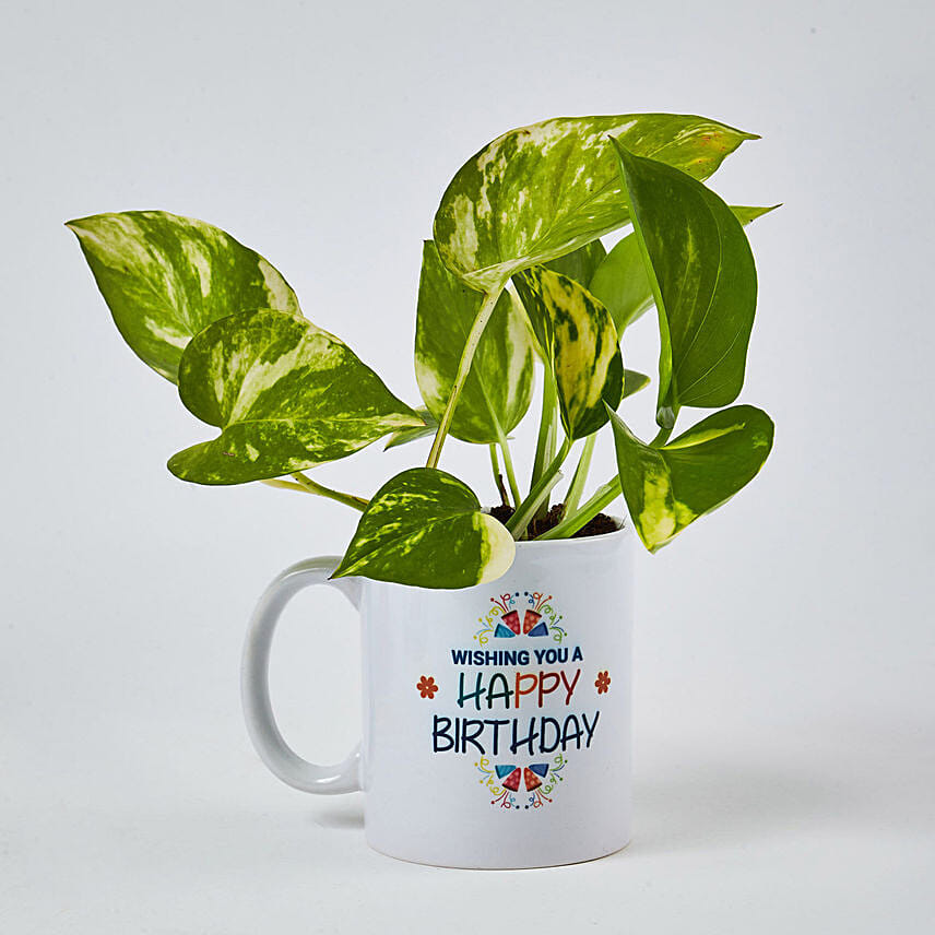 Money Plant In Happy Birthday Mug: Plants for Birthday Gift 