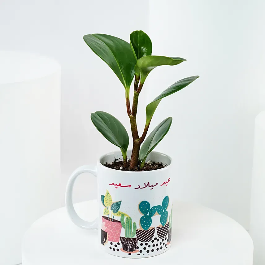 Peperomia Plant Birthday Mug: Good Luck Plants