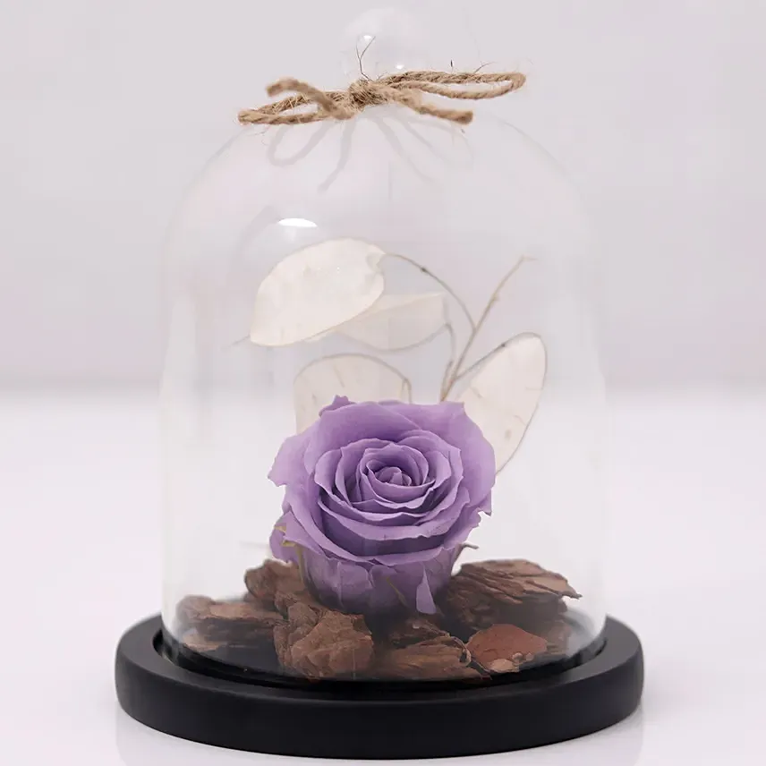 Purple Forever Rose In Glass Dome: Forever Roses