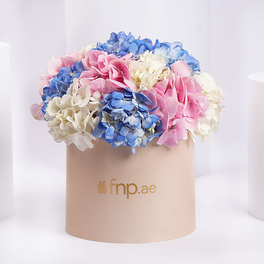 Pastel Hydrangea Mix Flower Box: Flower Box Bouquet