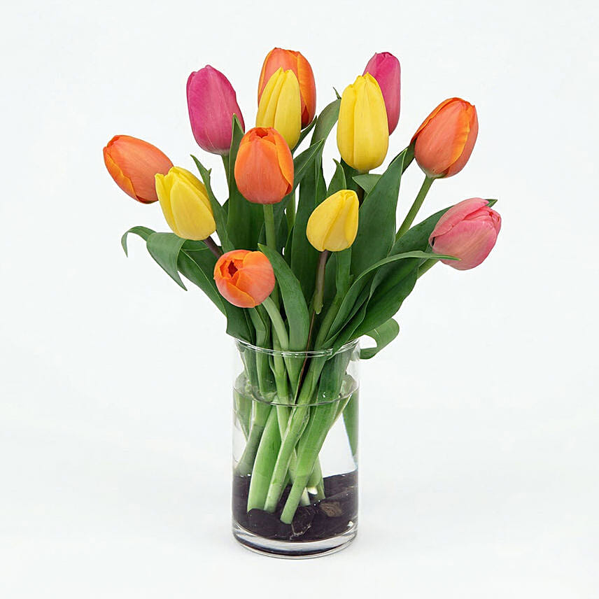 Wonderful Colors: Send Gifts to Lebanon