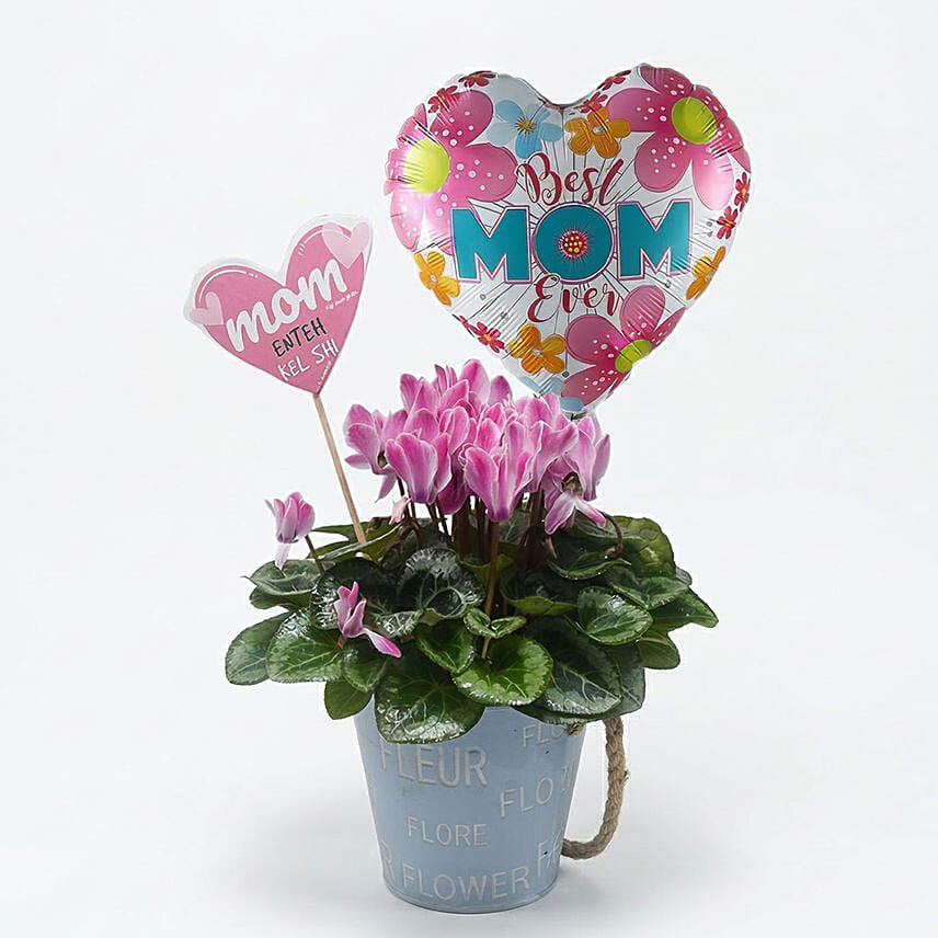 World Best Mom: Send Gifts to Lebanon