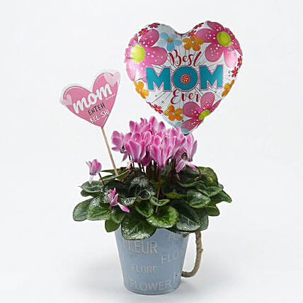 World Best Mom: Send Gifts to Lebanon