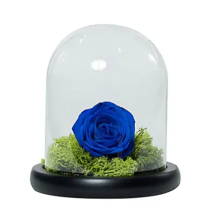 Elegant Blue Rose: Flowers for Him