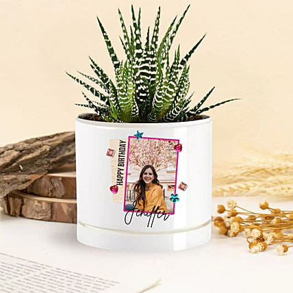 Birthday Blooms Echeveria Plant: Personalised Planters