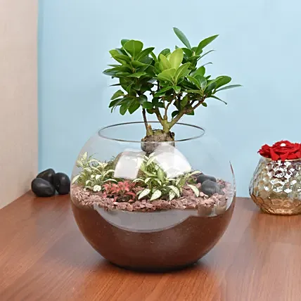 Bonsai Pot Paradise: Plants 