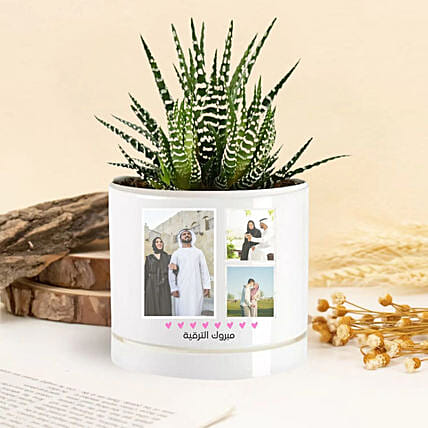 Celebrating Achievements Echeveria Plant: Personalised Planters