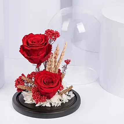 Dual Red Forever Roses in Dome: Forever Roses