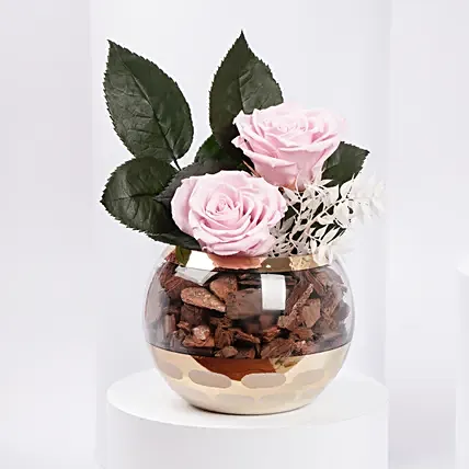 Duo of Pink Preserved Rose in Premium Vase: Daughters Day Gifts