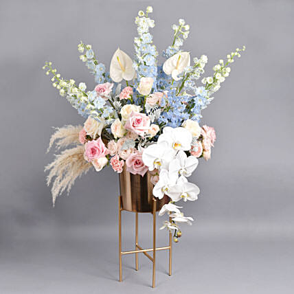 Elite Pastels: Anthuriums Flowers