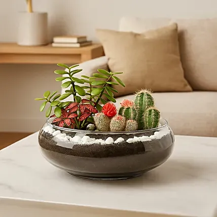 Jade With Fittonia & Cactus Plant In Small Fish Bowl: Thank You Gifts
