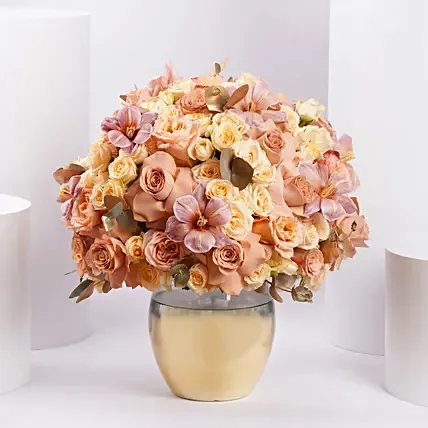 Rosa Noor Crown Collection: Premium Flowers