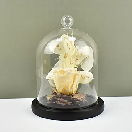 Peach Forever Rose In Glass Dome: 
