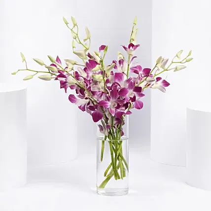Pink Orchids in Glass Vase: Gifts for Mom