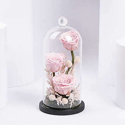Pink Forever Roses Arrangement: Forever Roses