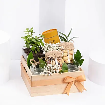 Tea and Plant Gift Hamper: Plants 