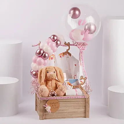 Welcome Baby Girl Celebration Hamper: New Born Baby Gifts