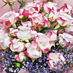 Baby Rose Symphony and Cake Delight