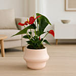 Anthurium Red in Elegant Round Pot