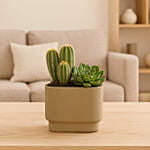 Desert Harmony Cactus & Succulent Duo in Modern Pot