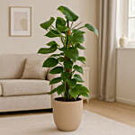 EPIPREMNUM MOSSTOK In Beige Pot