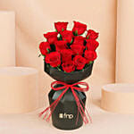 Infinite Love Roses