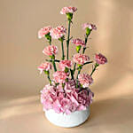 Mother’s Blush Garden