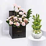 Affairs of Hearts Arrangement With Lucky Bamboo Plant