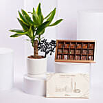 Delight Plant N Chocolate Gift Set Father Day Edition