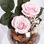 Duo of Pink Preserved Rose in Premium Vase