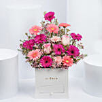 Gerberas Beauty