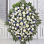 Luxurious Blooms