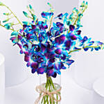 Mesmerizing Blue Orchids