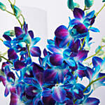 Mesmerizing Blue Orchids