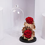 Red Eternal Rose In A Glass Dome