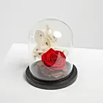 Red Forever Rose In Glass Dome