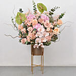 Stratling Flower Beauty