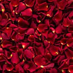 Two Kg Rose Petals
