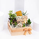 Tea and Plant Gift Hamper